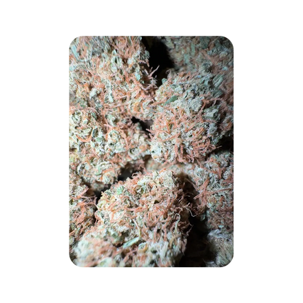 Black Forest