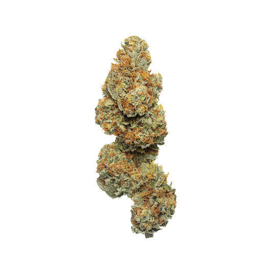 Mango Tree
