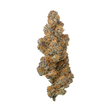 Paytons Strawberries